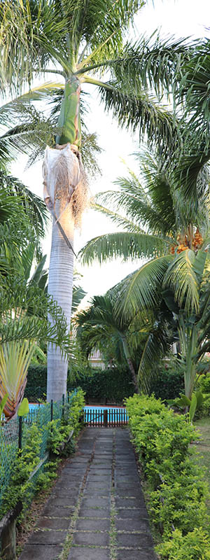 Gold Coast Villas Mauritius Poolblick